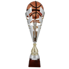 serie 24-5000